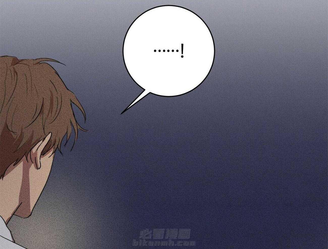 81