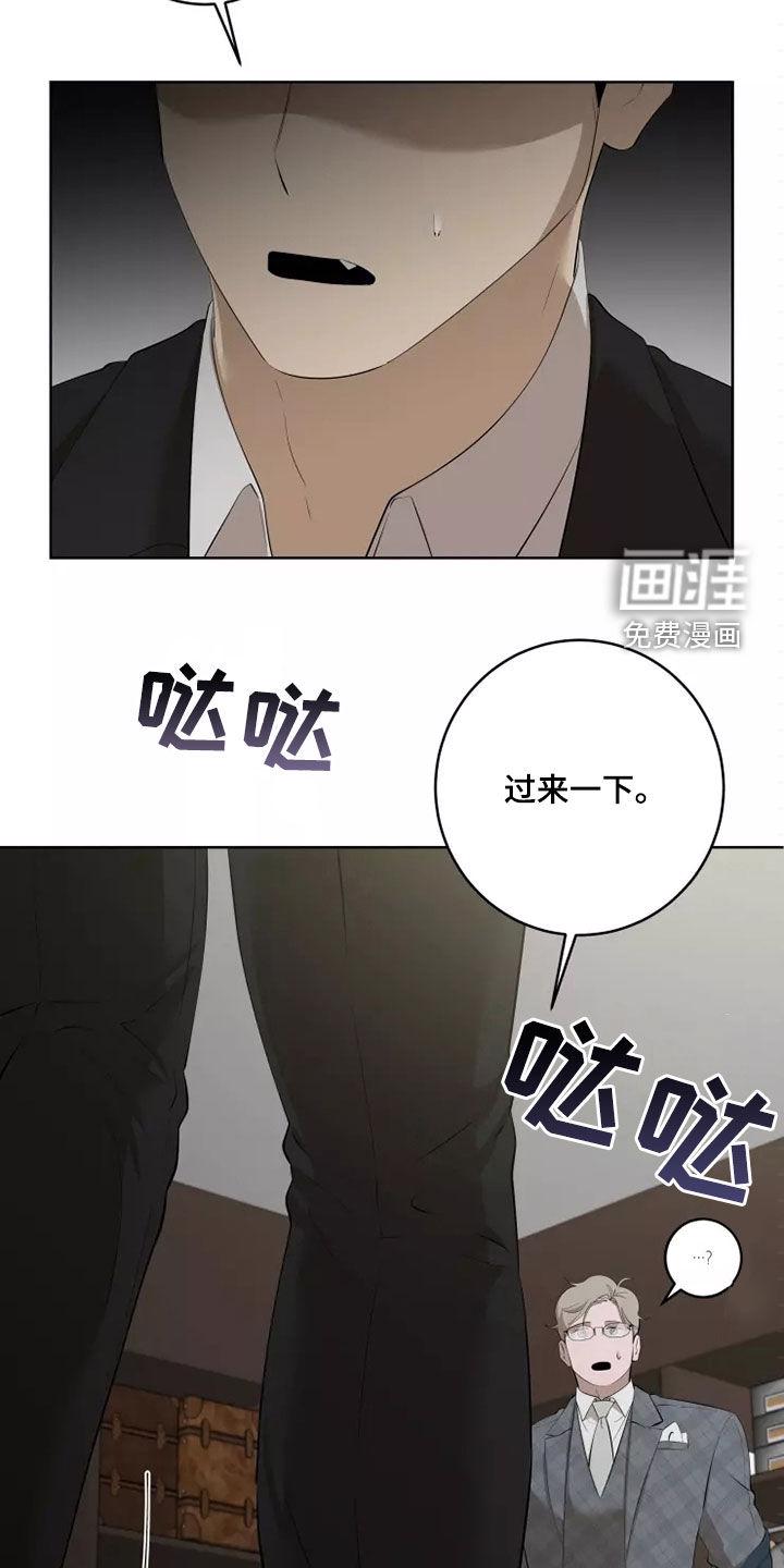 26.jpg