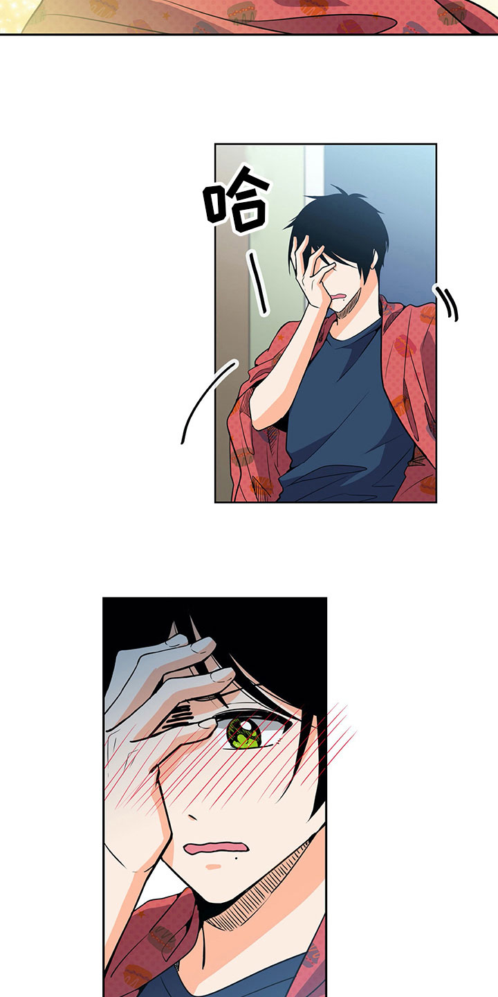 13.jpg