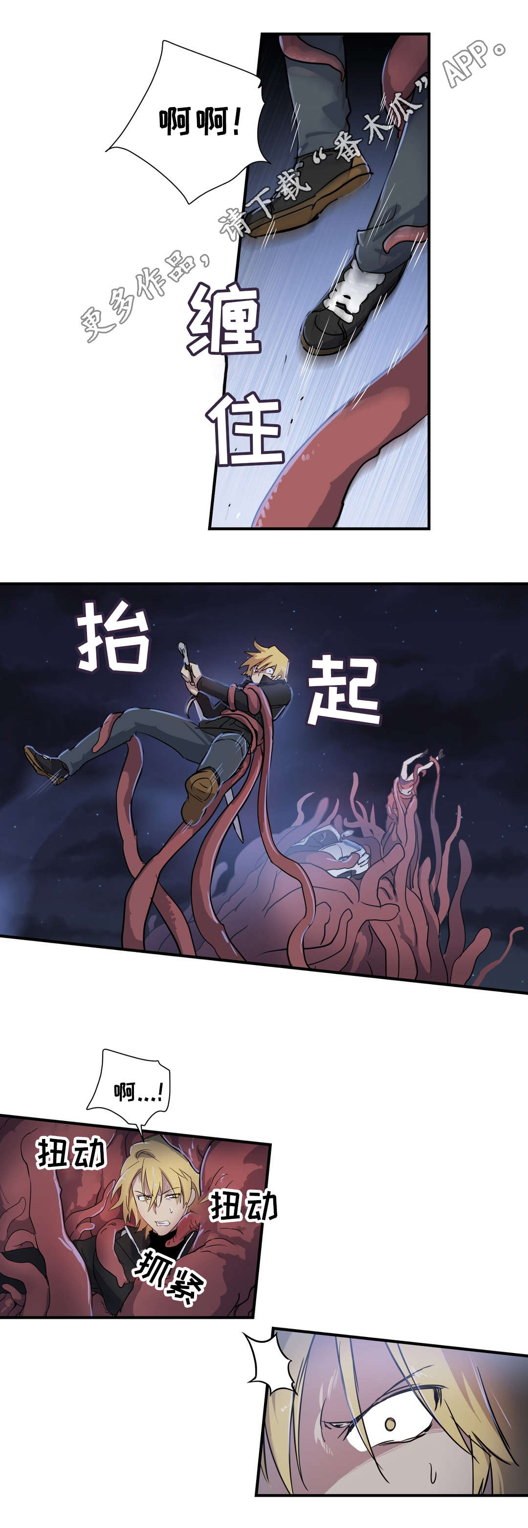 17.jpg