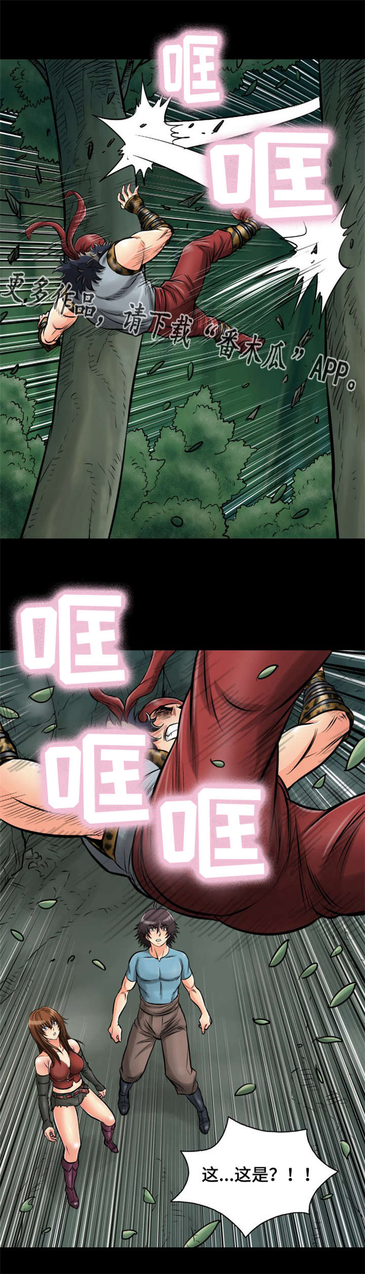 13.jpg