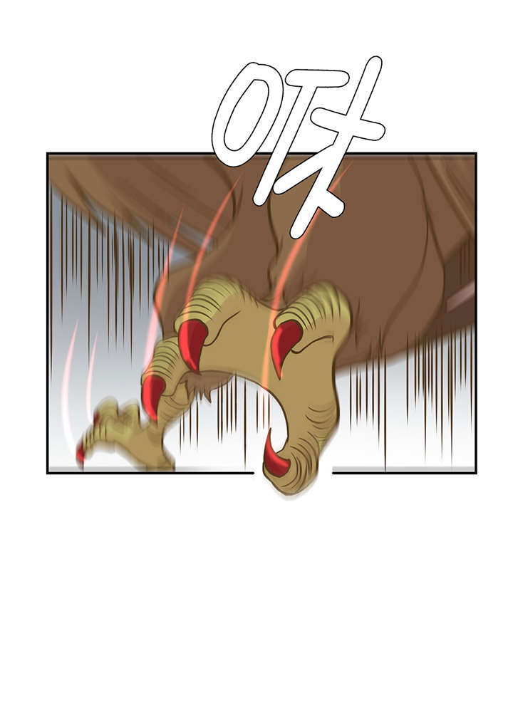 39.jpg