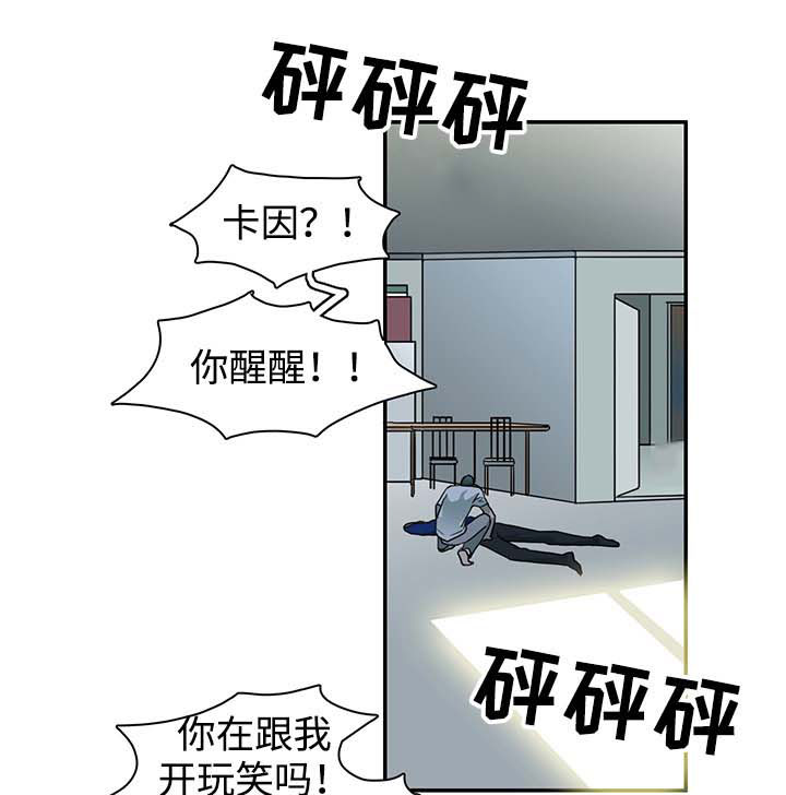 25.jpg