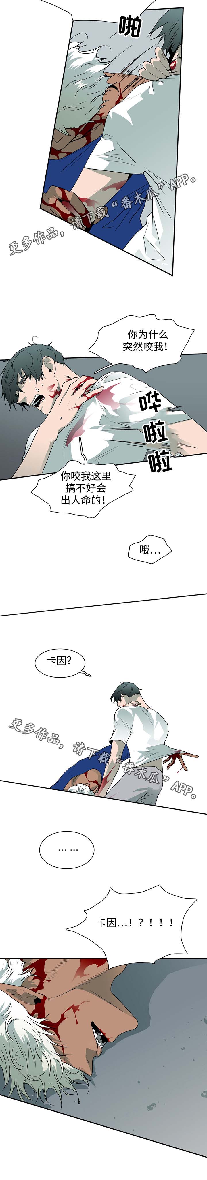 14.jpg