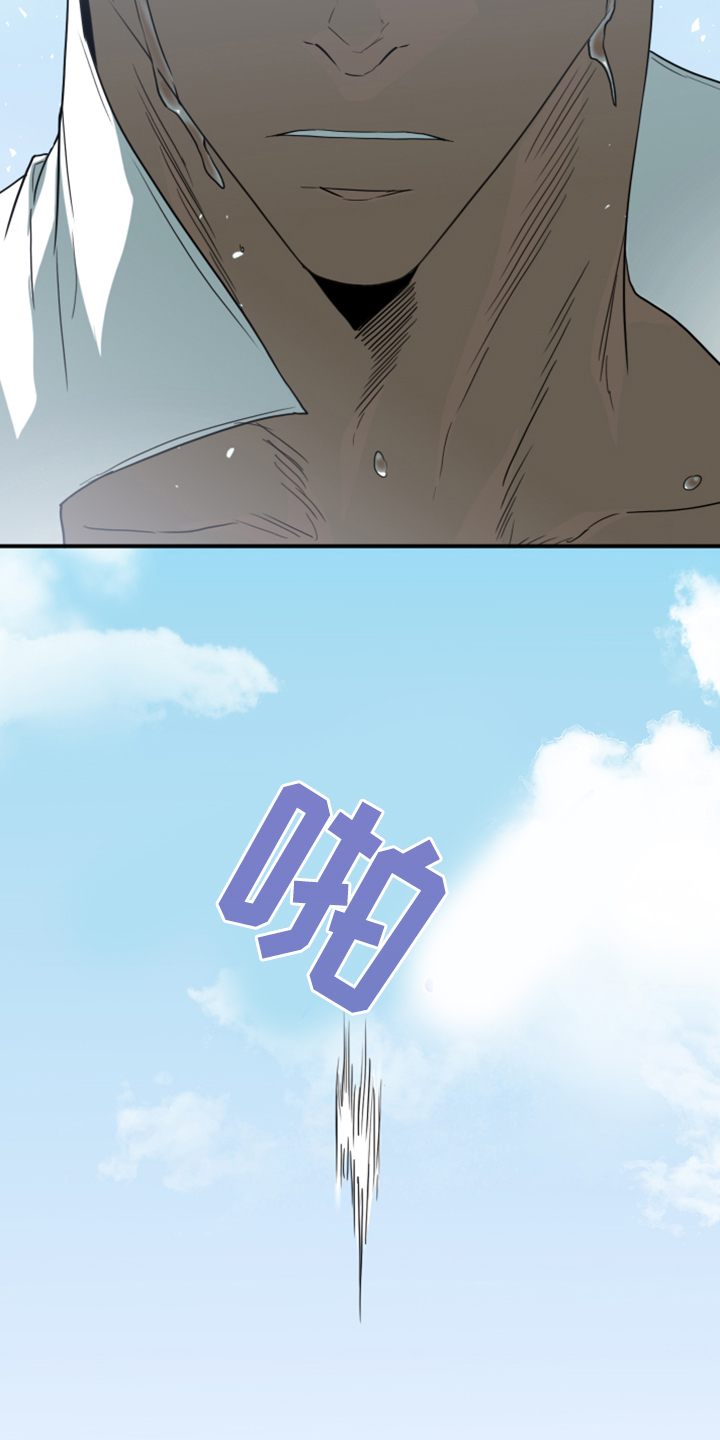 31.jpg