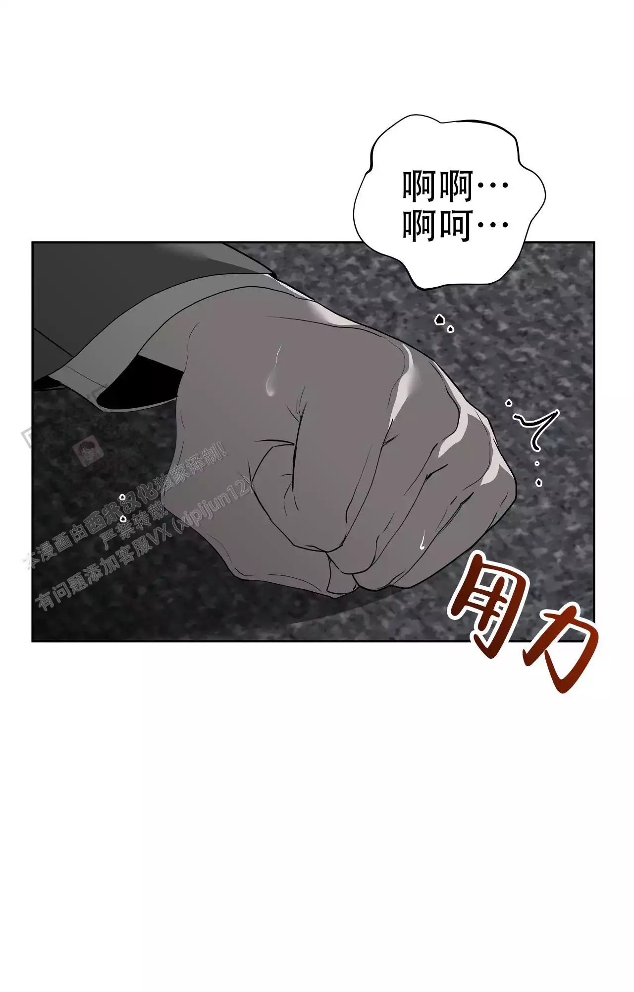 25.jpg