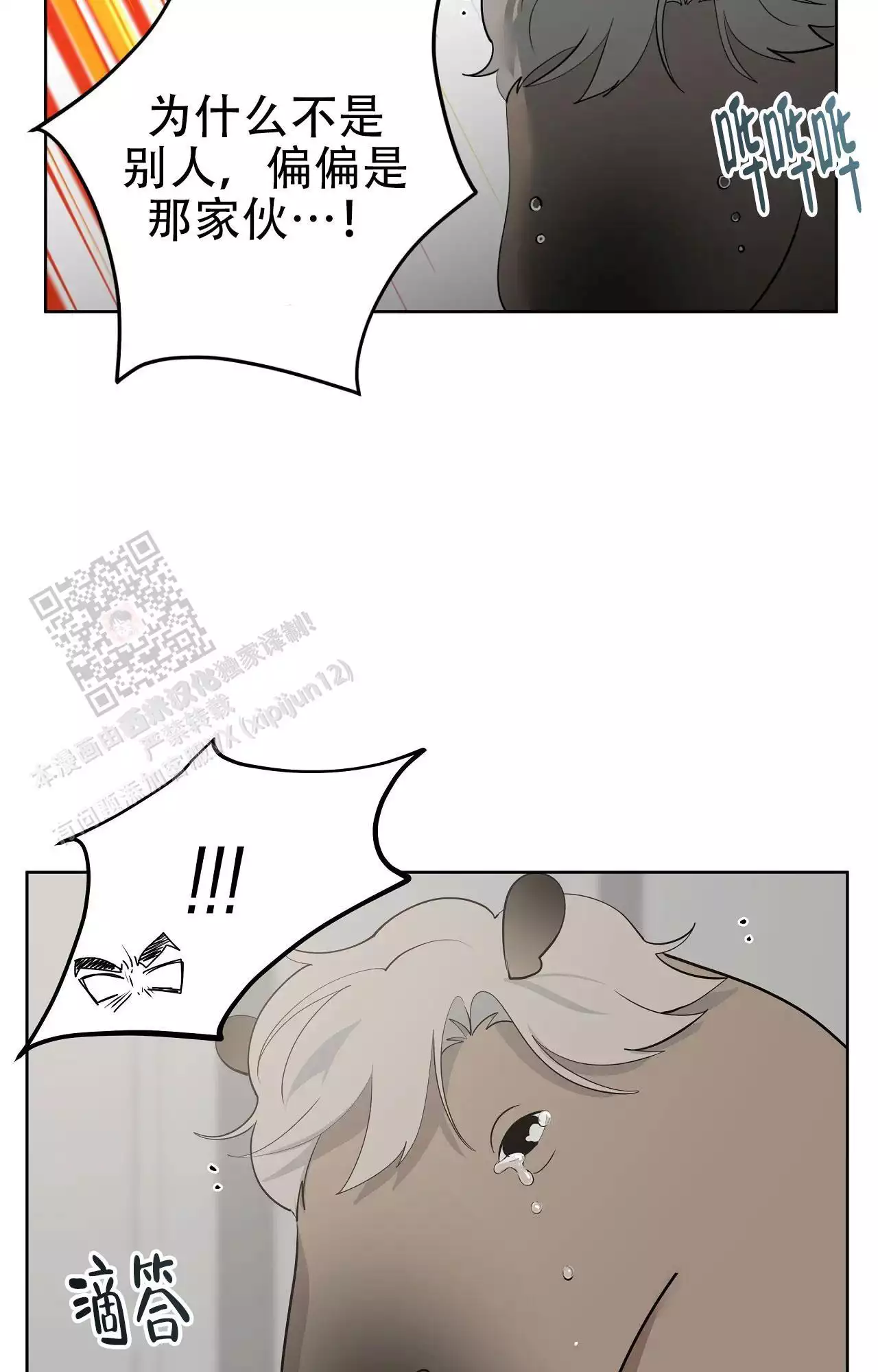 36.jpg