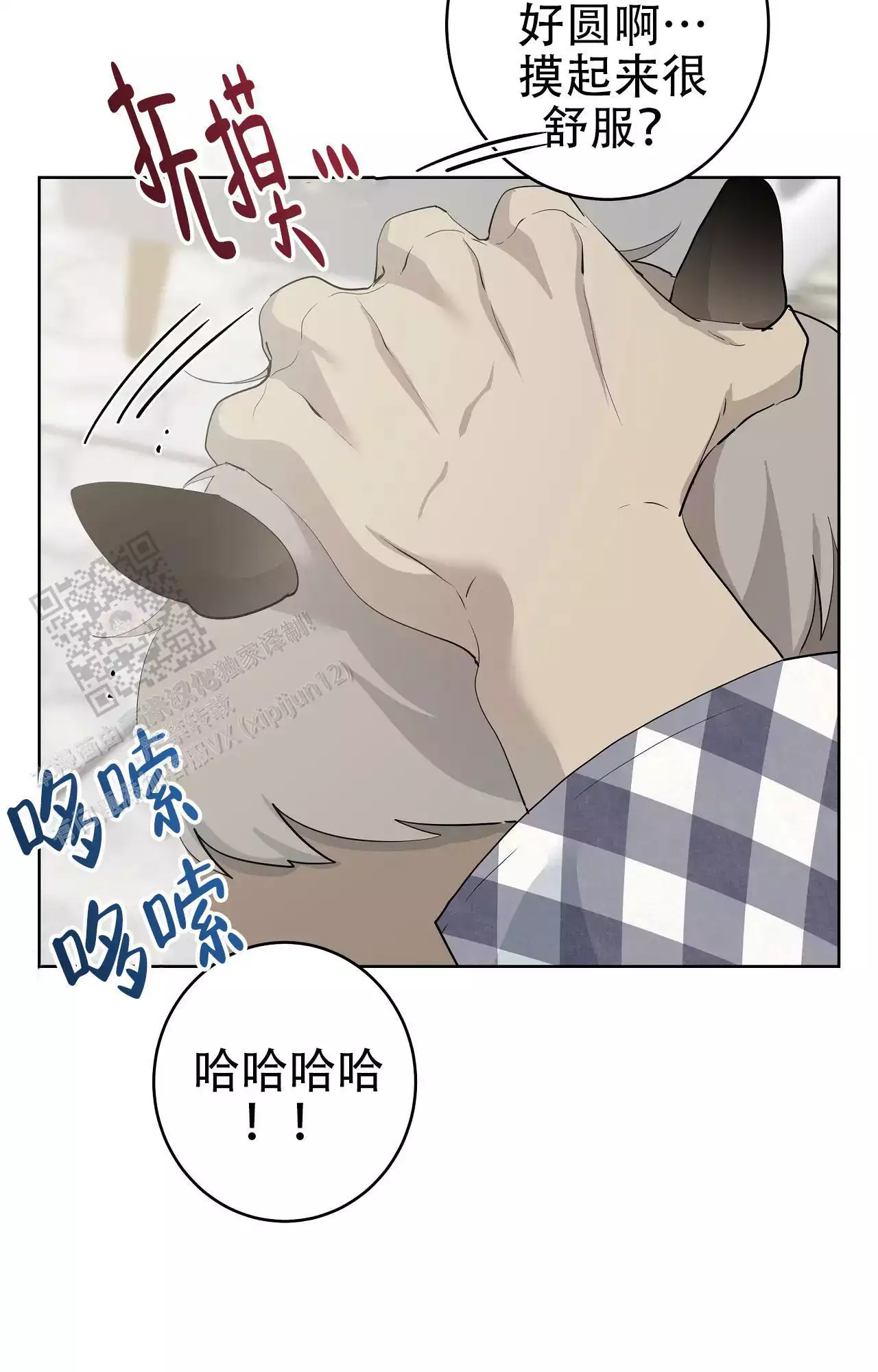 23.jpg