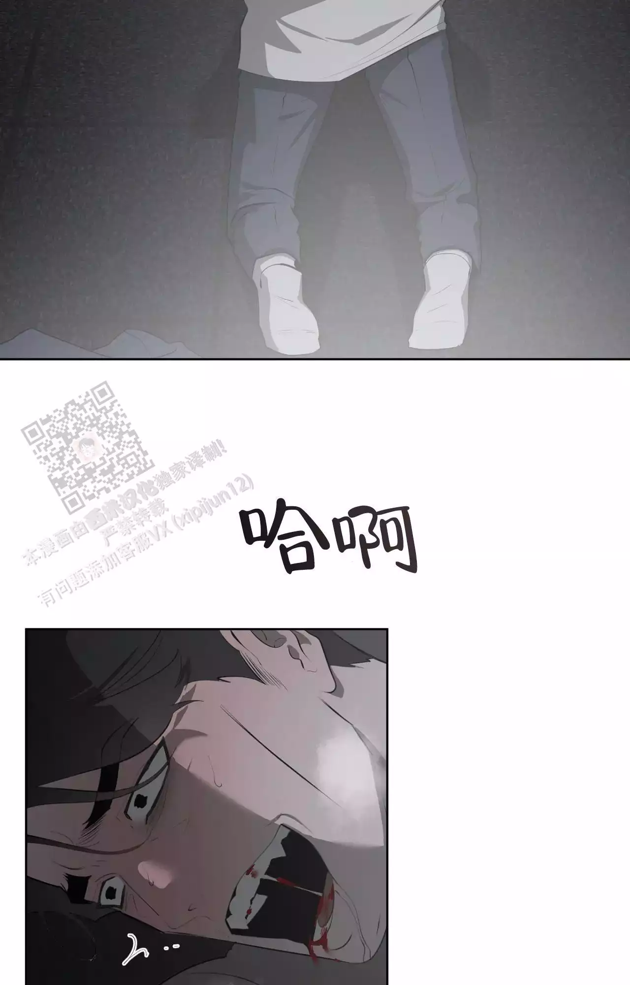 12.jpg