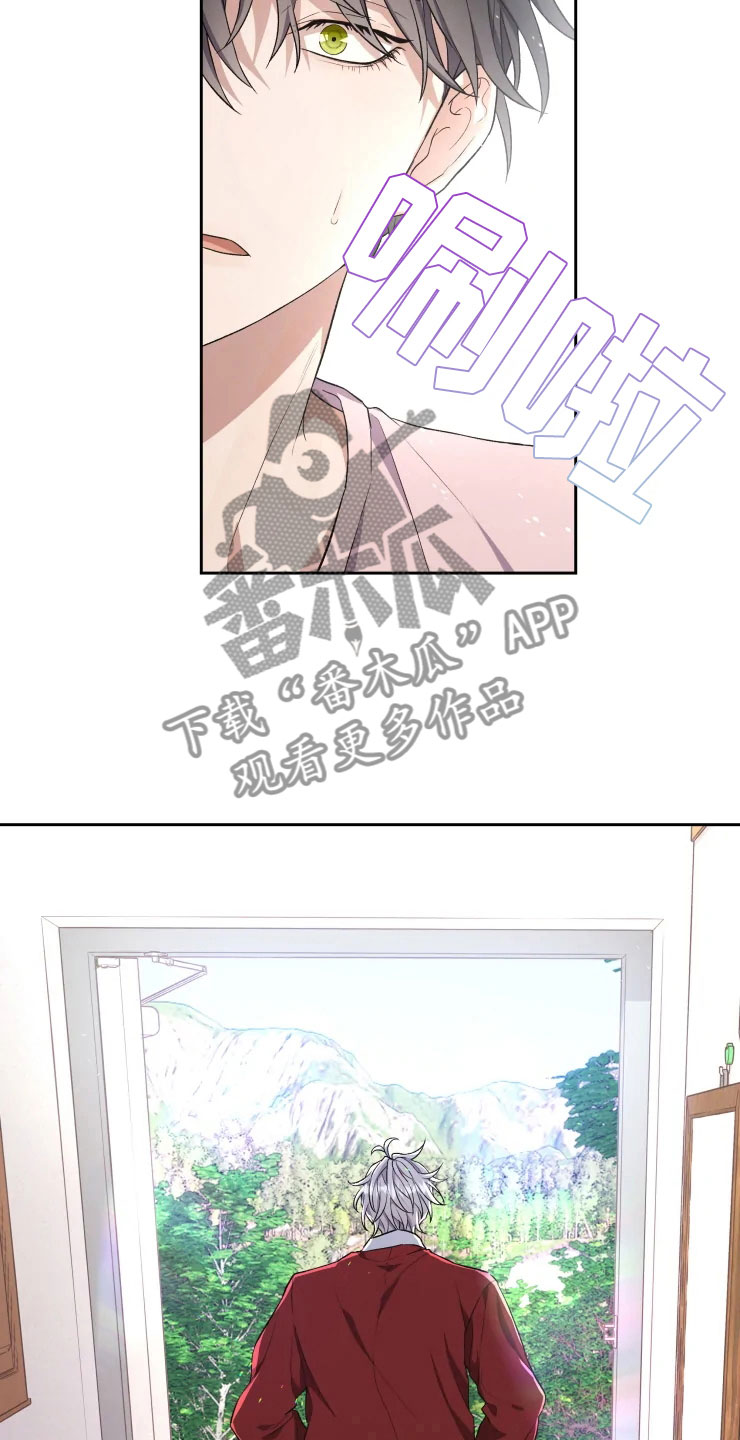21.jpg