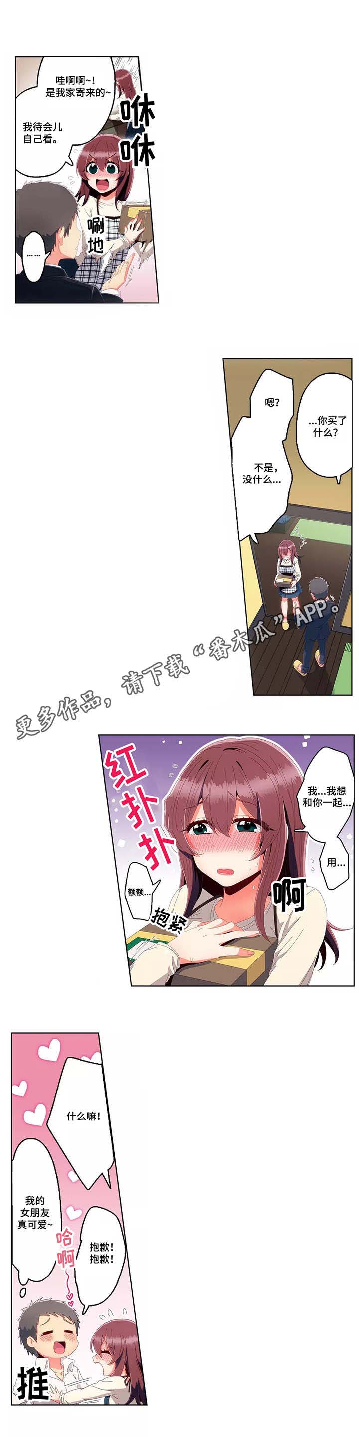 5.jpg