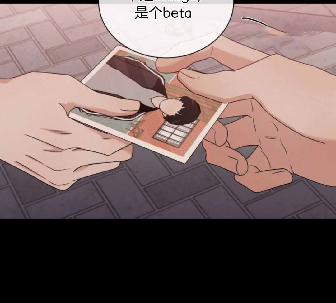 81