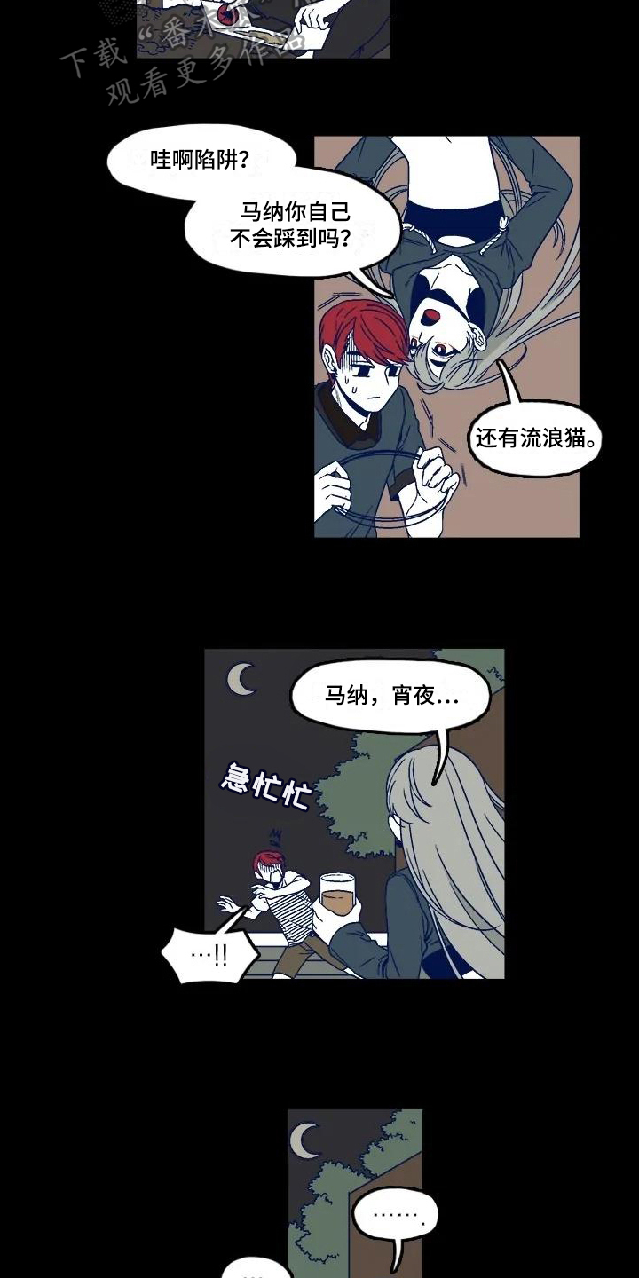 8.jpg