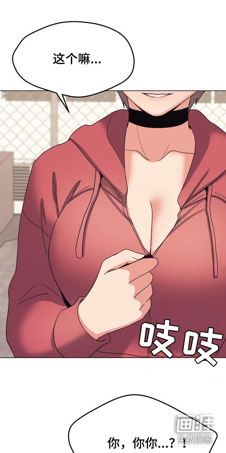 26