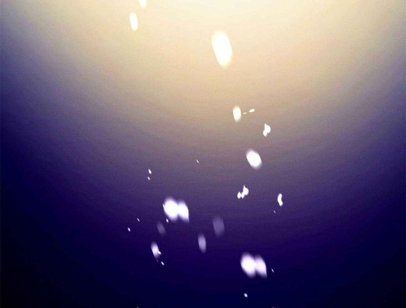 43