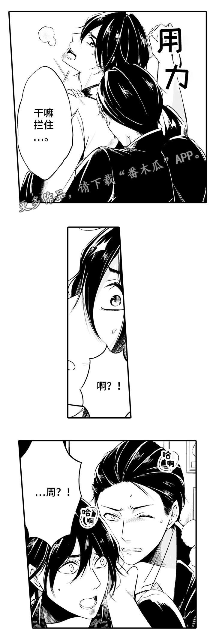 6.jpg