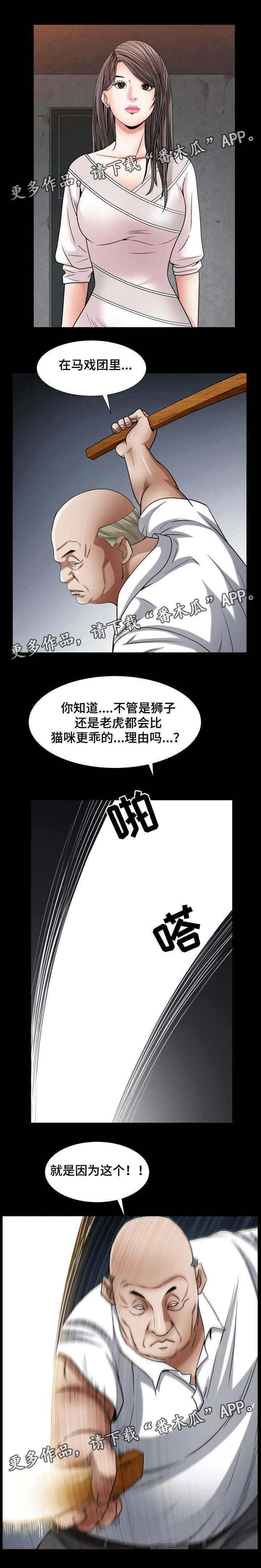 8.jpg