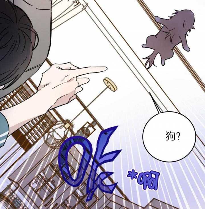 46