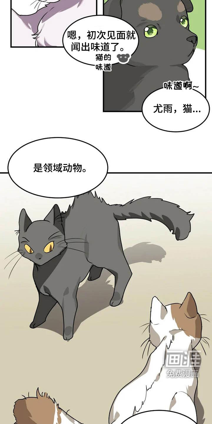 11.jpg