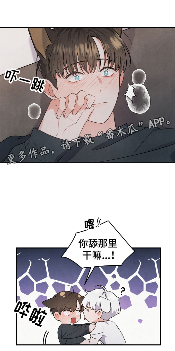 20.jpg
