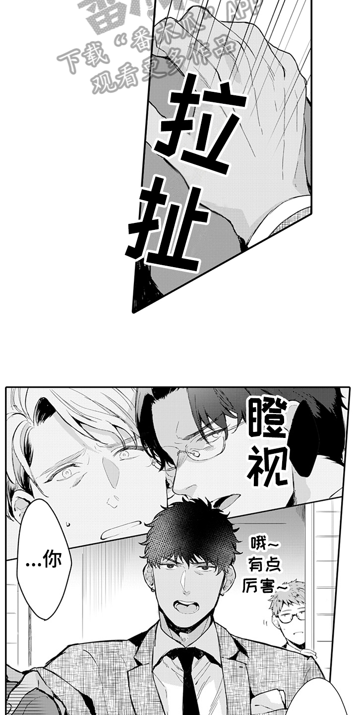 11.jpg