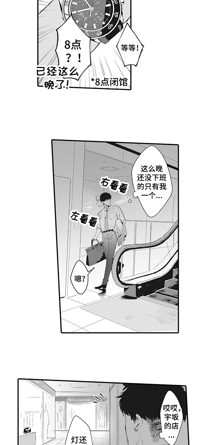 9.jpg
