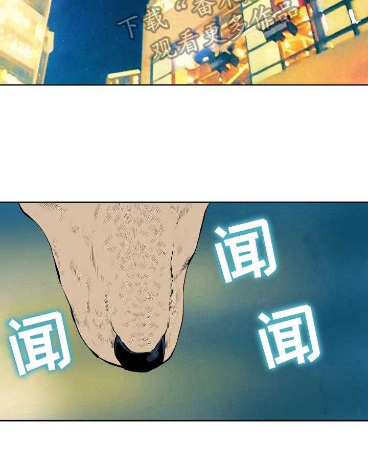 21