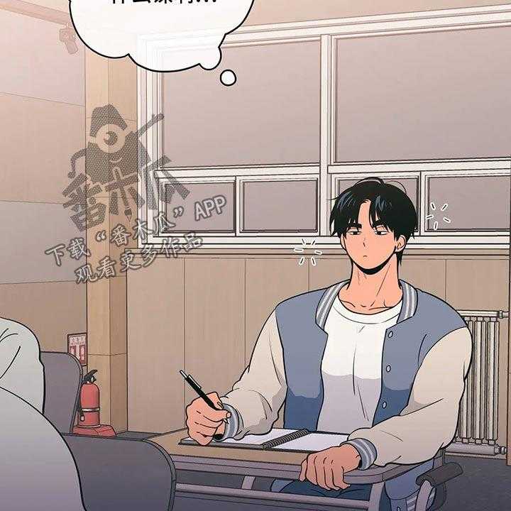 31