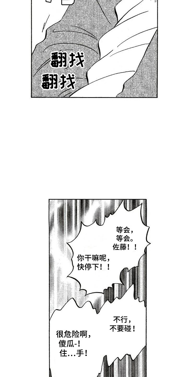 19