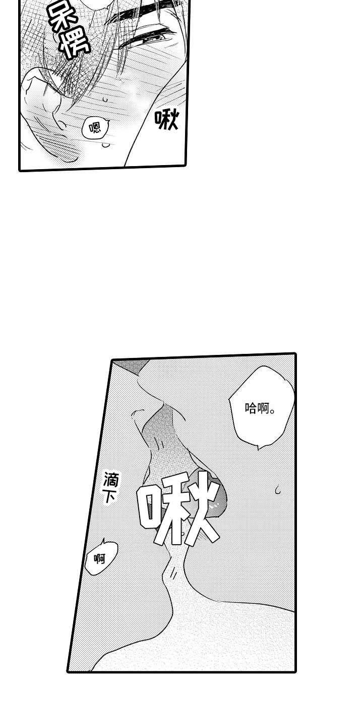 15.jpg
