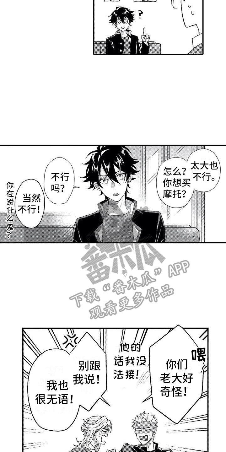 17