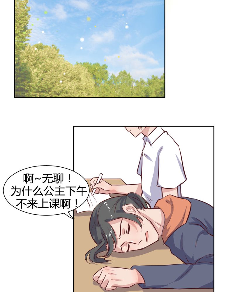 15.jpg