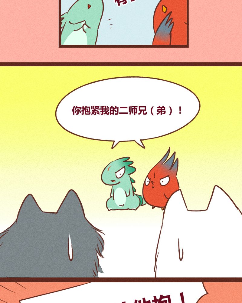 11.jpg