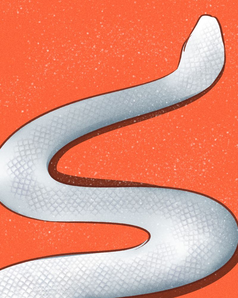 52