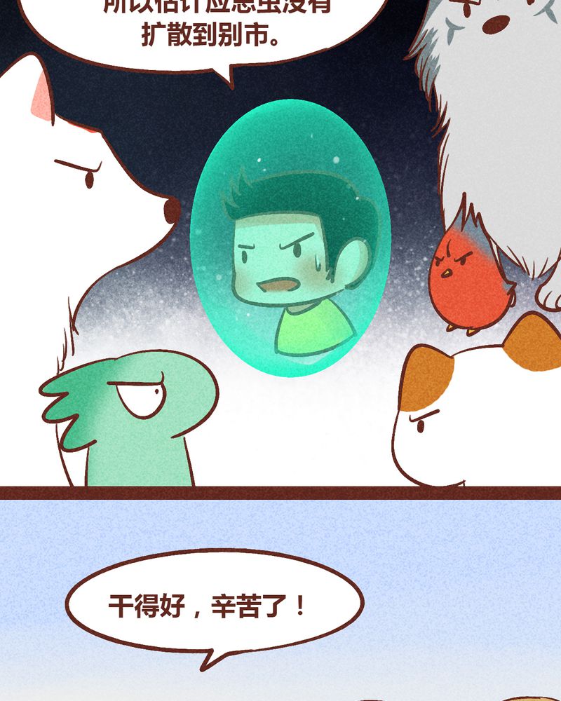 43.jpg
