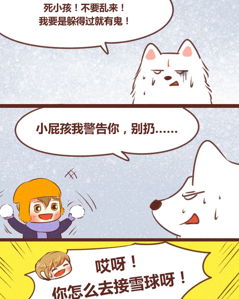 14.jpg
