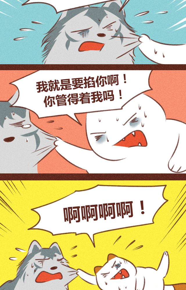 /template/pc/baozi/image/load.gif
