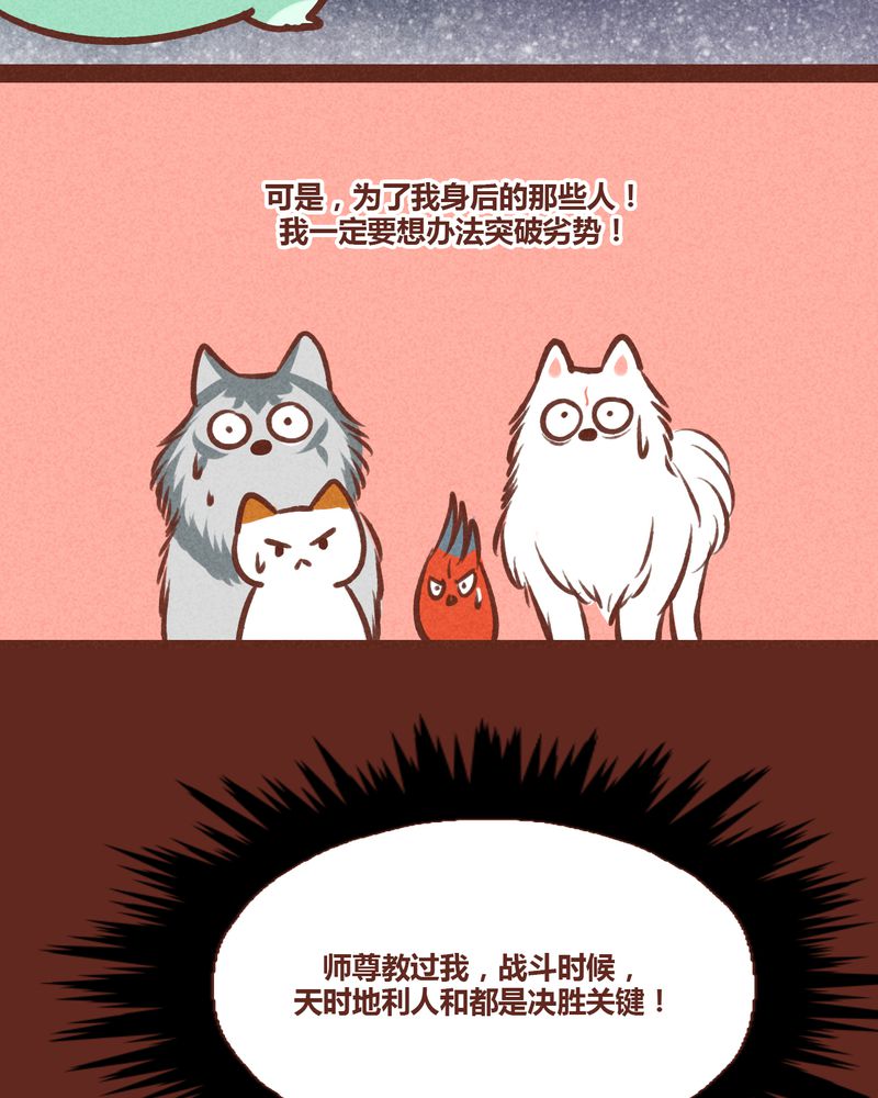 15.jpg