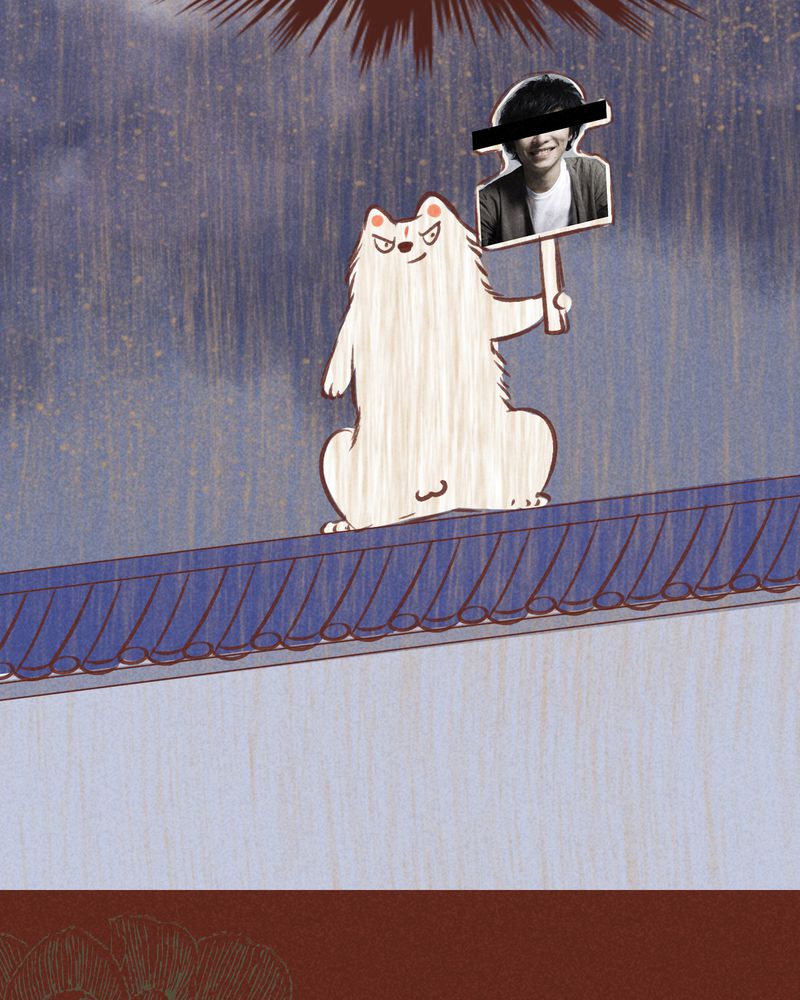 43