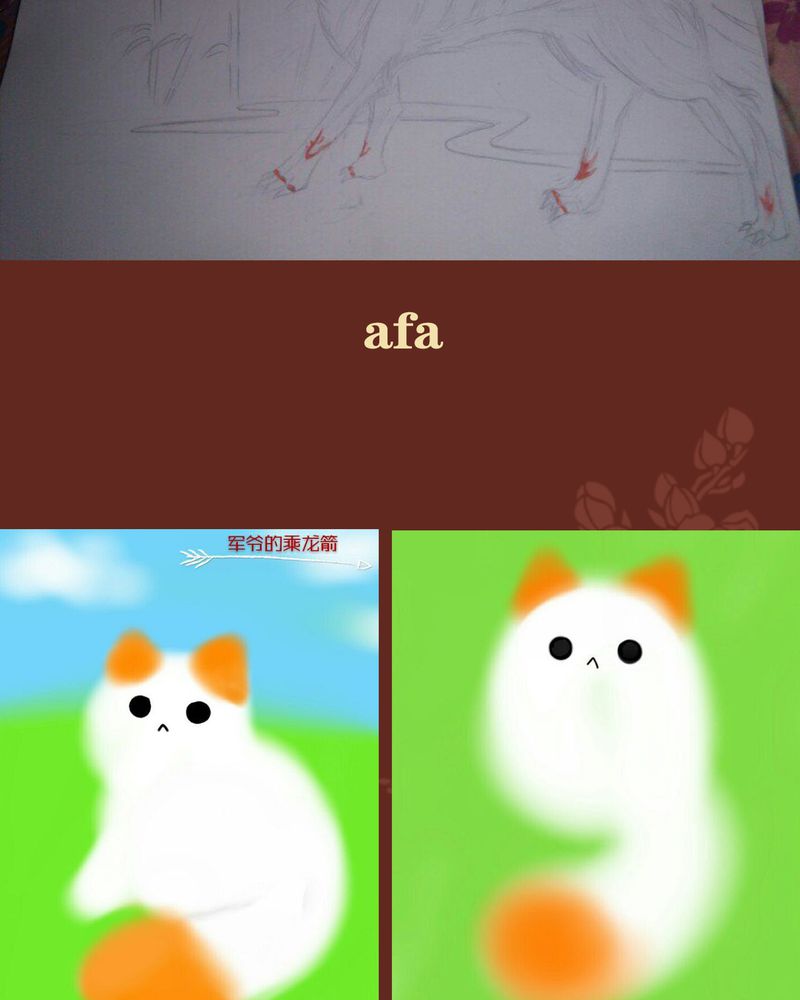 55.jpg