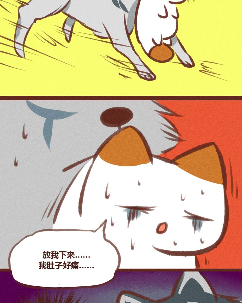 25.jpg