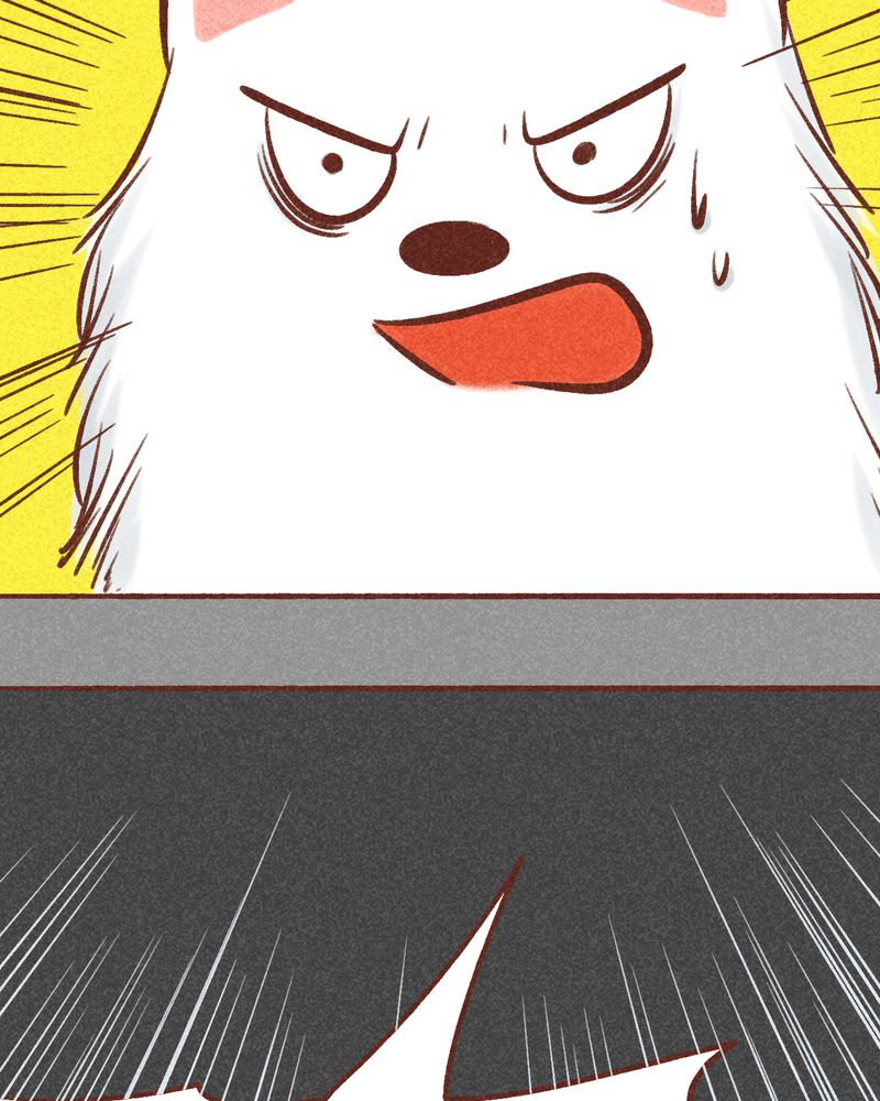 81.jpg