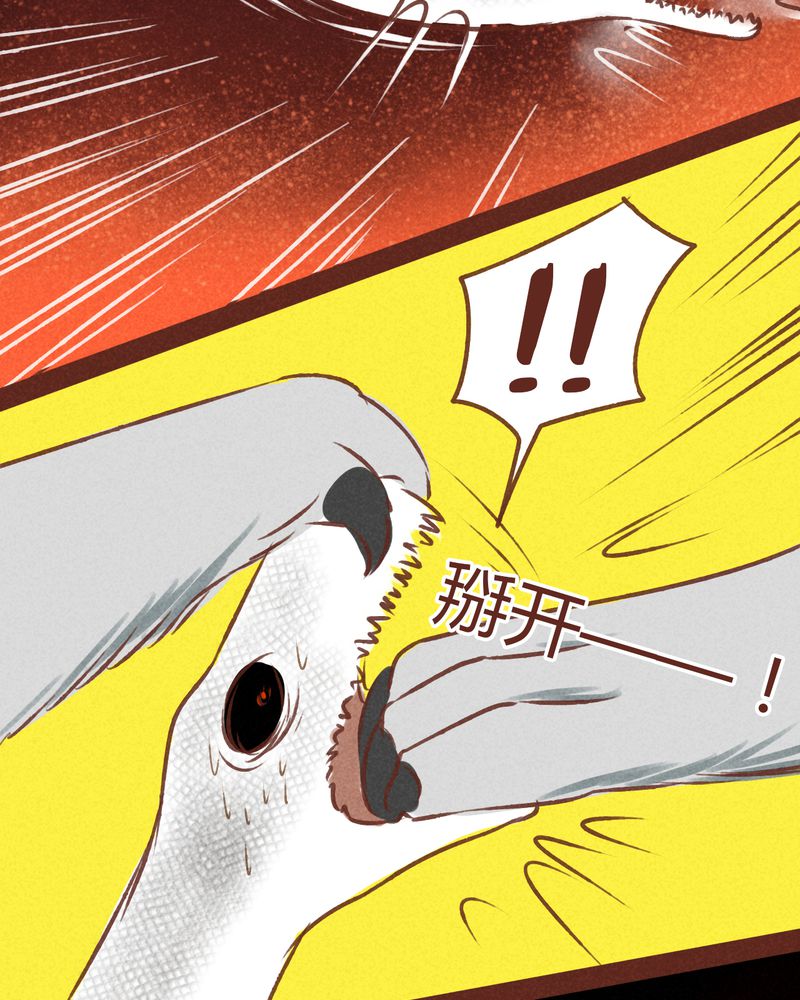 41