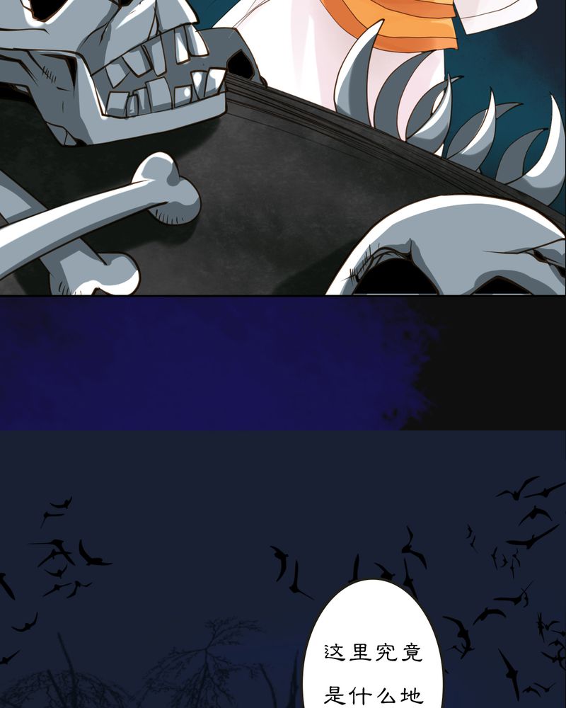 12.jpg