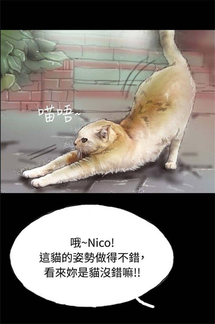 31.jpg