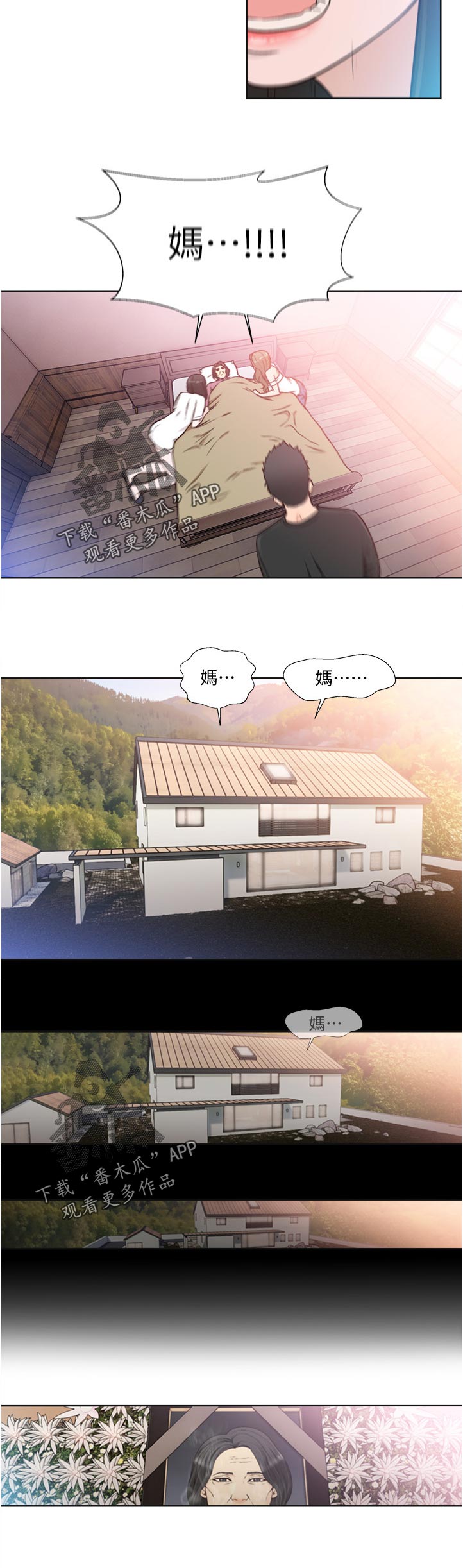 6.jpg