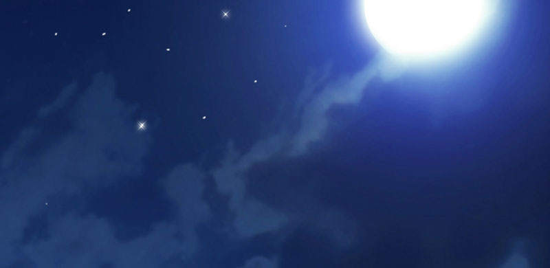 33