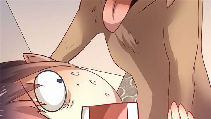 71