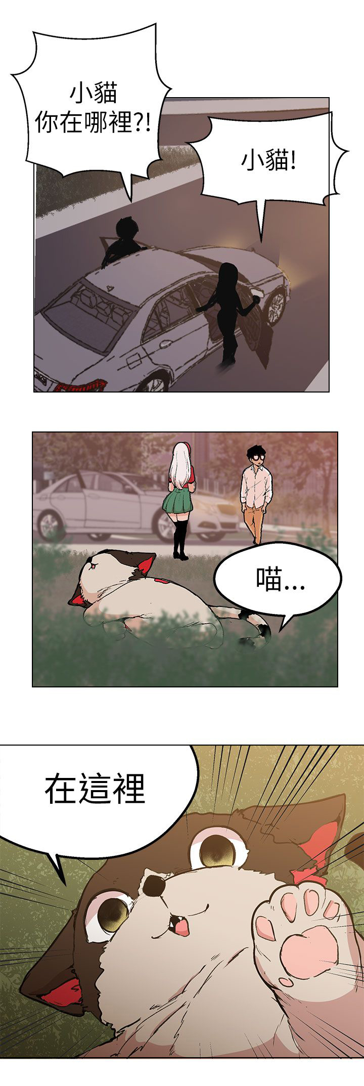 17.jpg