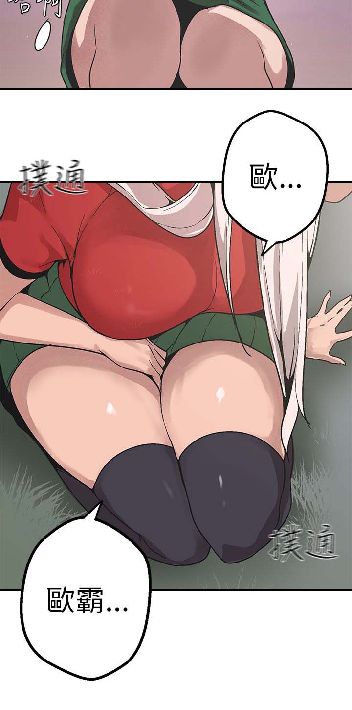 11.jpg